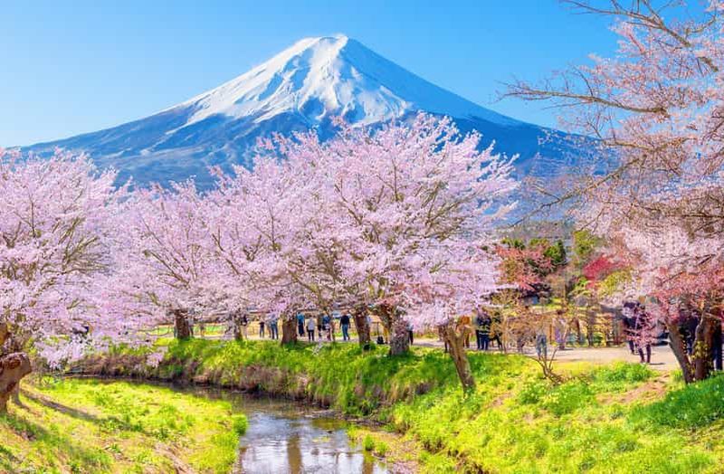 Billet Tokyo : visite du mont Fuji (6 sites), lac Yamanaka, lac Kawaguchi