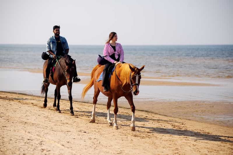 Billet Randonnée à cheval à Riga le long de la plage