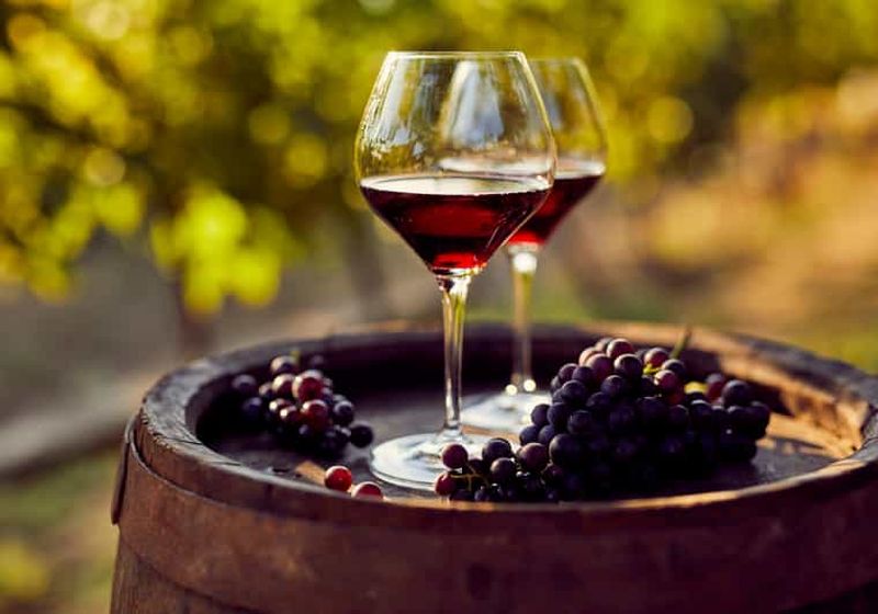 Billet Guayaquil : visite du vignoble Dos Hemisferios avec déjeuner (partagé)