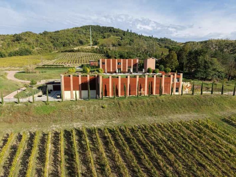 Billet Bologne - Cantina Tomisa : Visite avec dégustation de vins biologiques