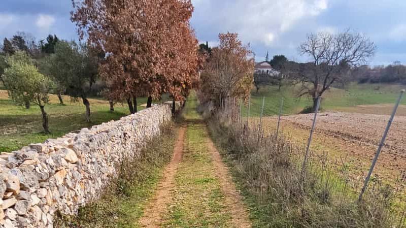 Billet Acquaviva delle Fonti : Promenade à vélo électrique dans la campagne des Pouilles