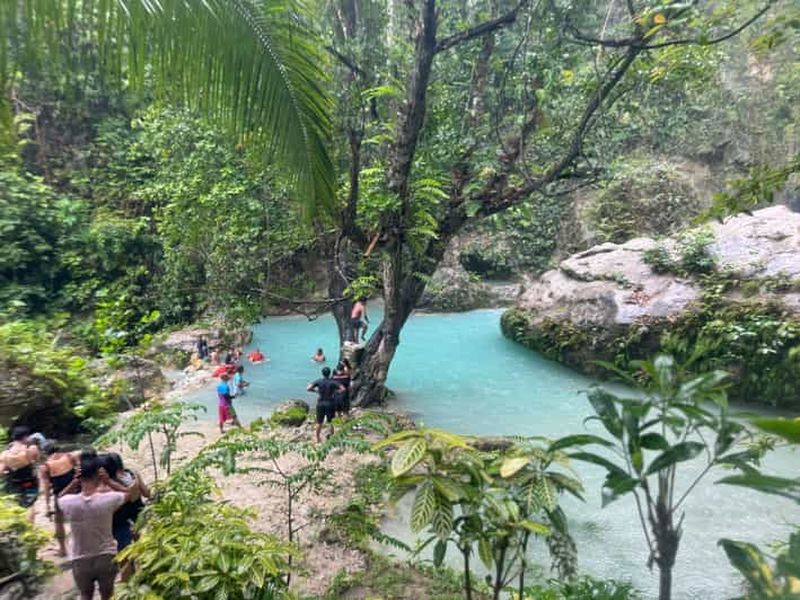 Billet Cebu : Requin-baleine, chutes d'Inambakan et excursion à Moalboal (sardines)