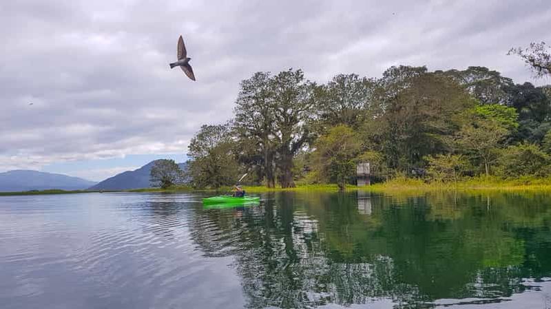 Billet Depuis San Pedro Sula : excursion au lac Yojoa, cascade et kayak