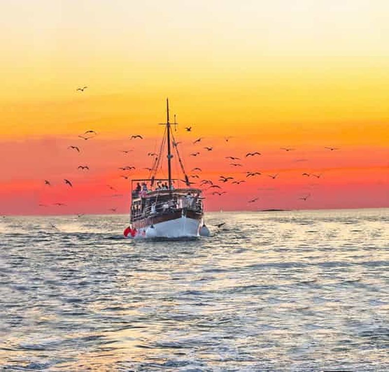 Billet Fazana : dauphins de Brijuni et dîner avec boissons, dans le respect de l'environnement