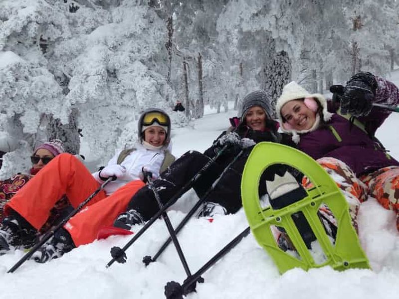 Billet Madrid : randonnée en raquettes de 4 heures