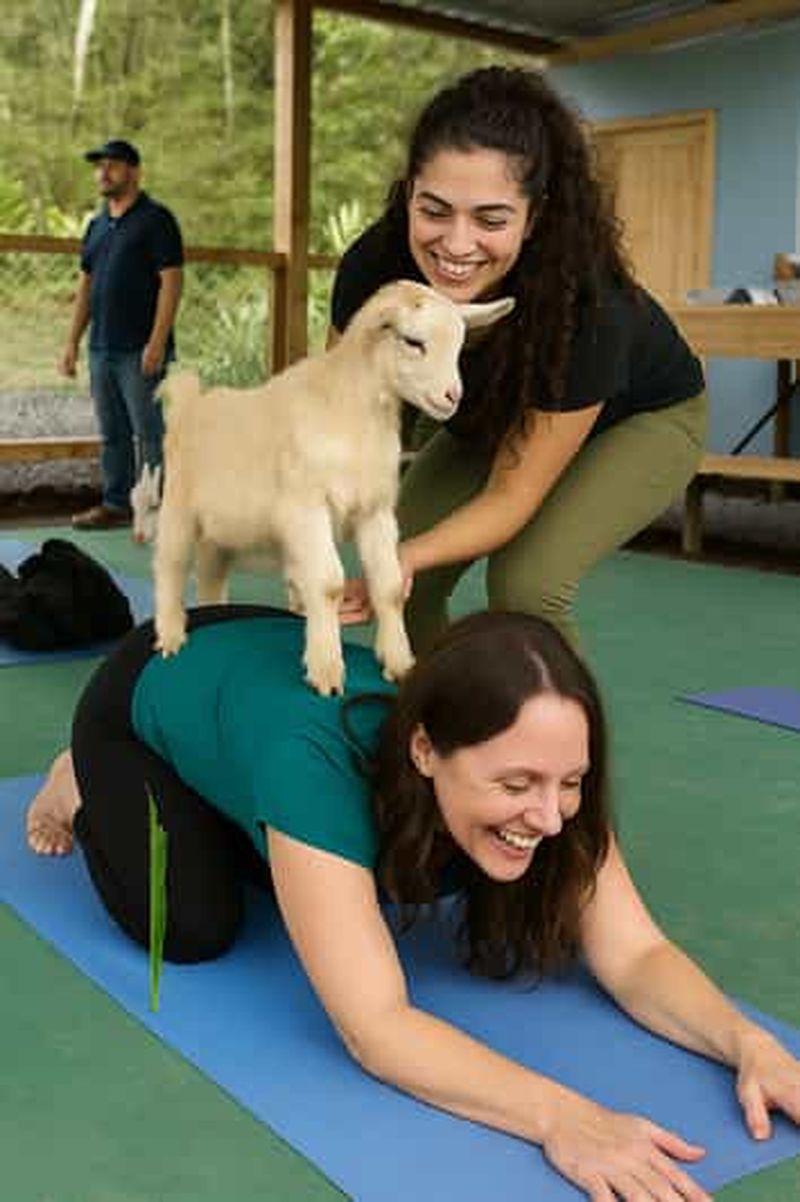 Billet La Fortuna : cours de yoga avec des chèvres et vue sur le volcan Arenal