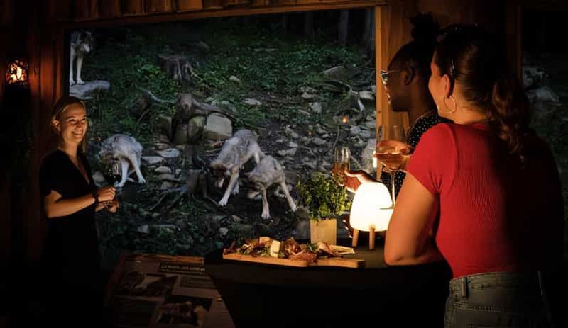 Billet Montebello, QC: Parc Omega Wolves Experience with Cocktail & Guide