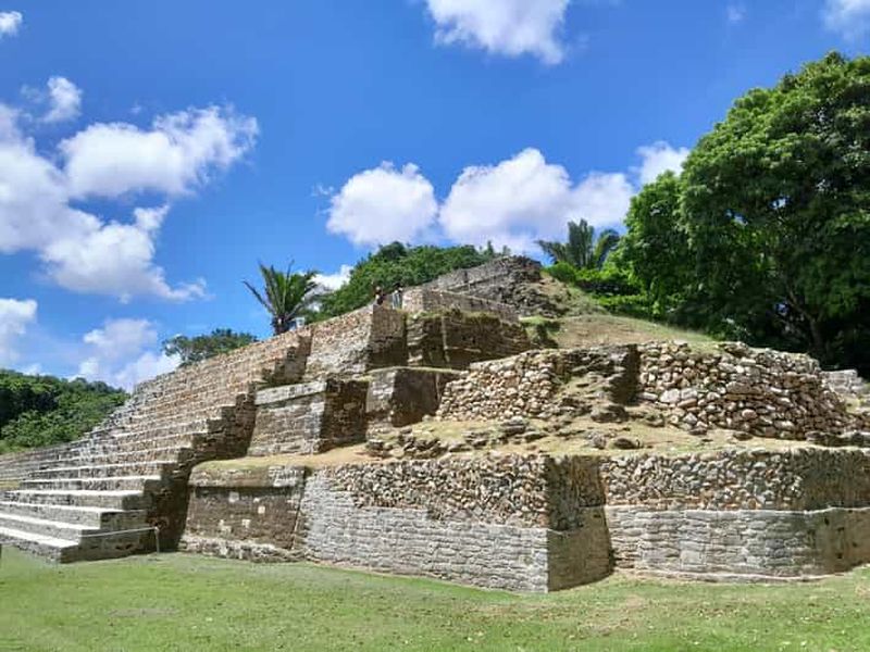 Billet Altun Ha, observation ornithologique, visite citadine