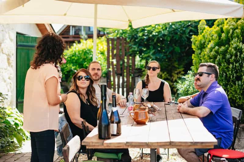 Billet Depuis Budapest : excursion d'une demi-journée dans les vignobles avec repas