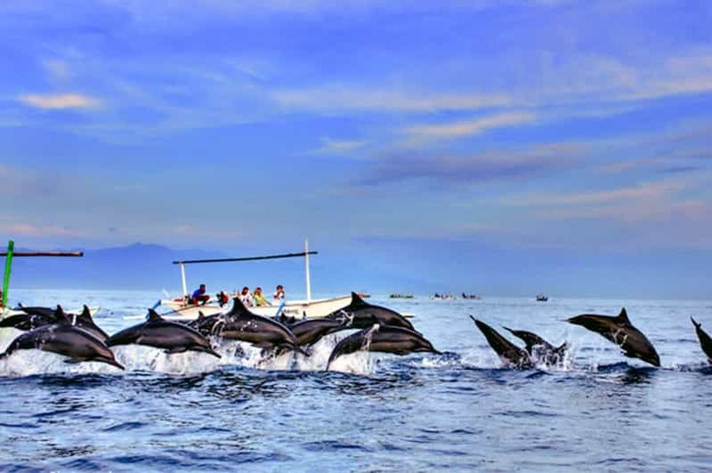 Billet lovina bali : Observation des dauphins, chute d'eau et déjeuner local
