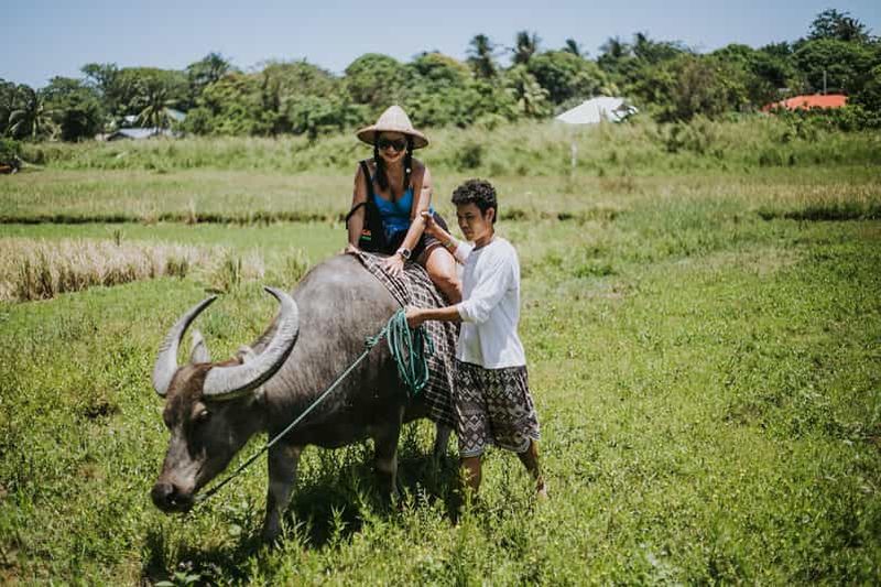 Billet Boracay : entrée au musée vivant de Motag et aventure en quad à Napaan
