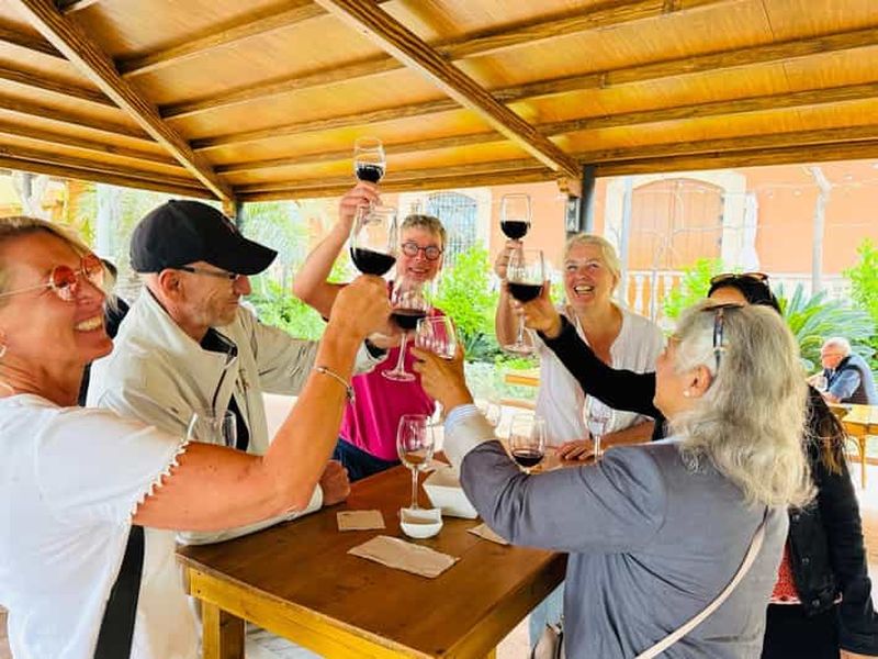 Billet Novelda : dégustation de vins et sanctuaire de style Gaudí