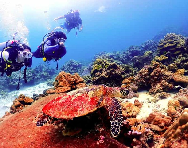 Billet Phuket : Plongée sous-marine aux îles Maithon ou Racha pour tous les niveaux