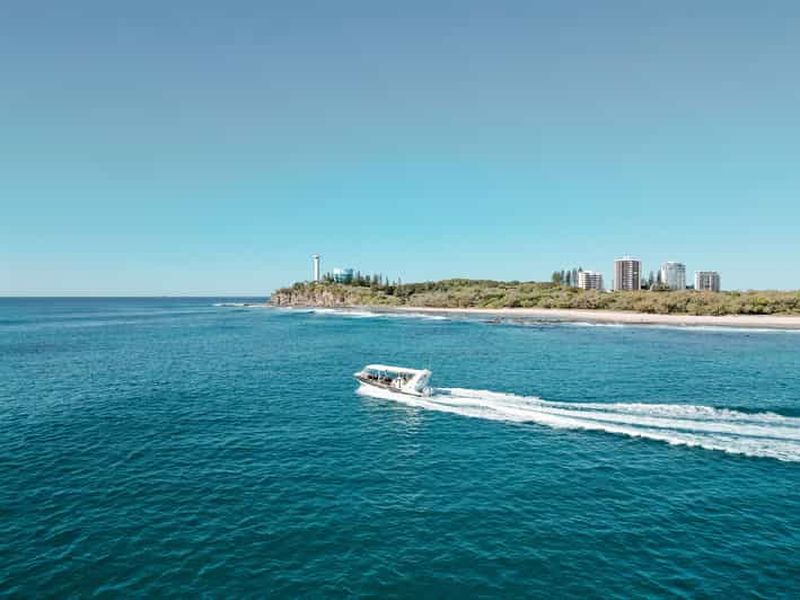 Billet Mooloolaba : excursion en rafting à la rencontre des tortues