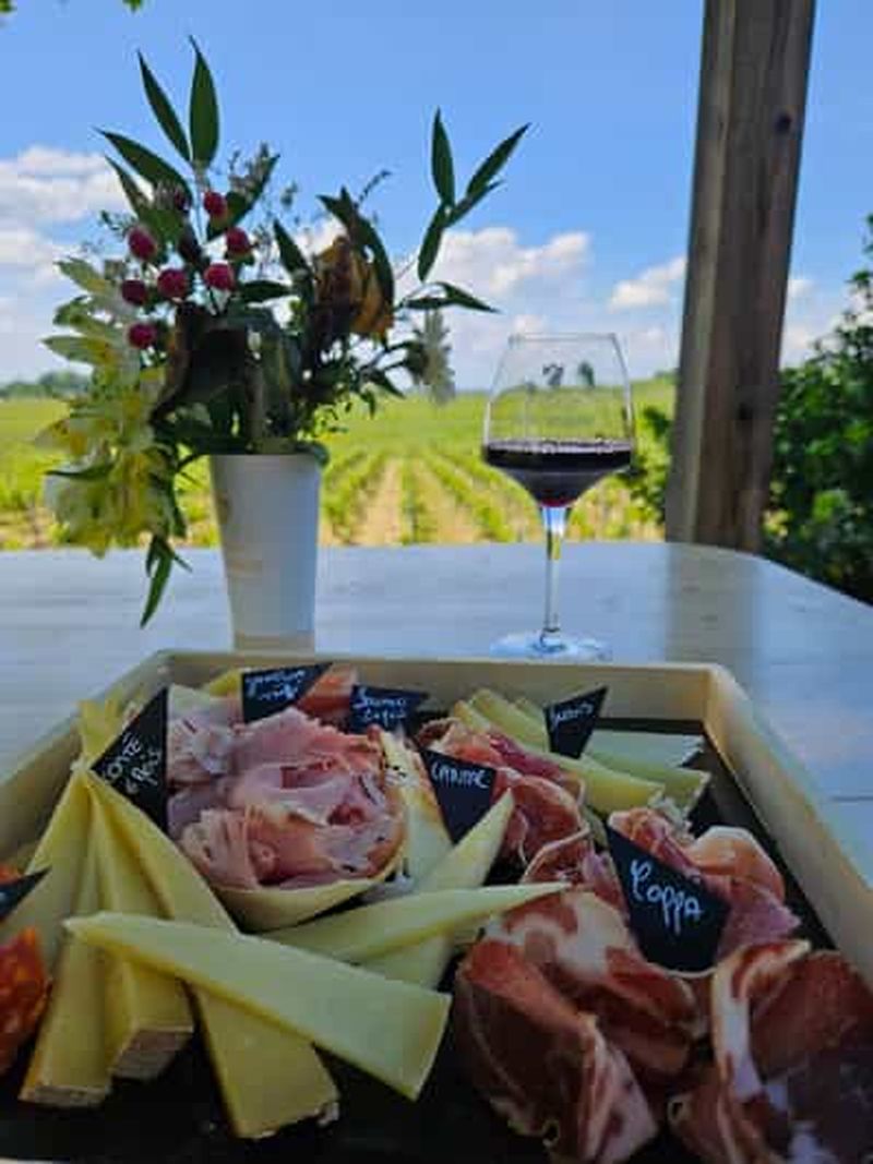 Billet L'apéro du Château Petit Mangot : charcuterie, fromages et vins