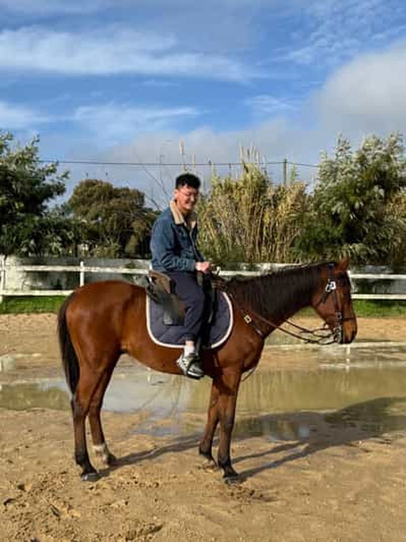 Billet Depuis Lisbonne : incroyable promenade à cheval avec guide