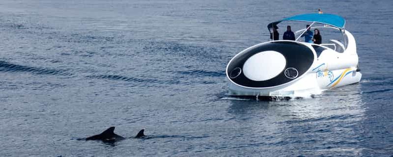 Billet Au départ de Tazacorte : découvrez la côte nord-ouest en yacht rapide.