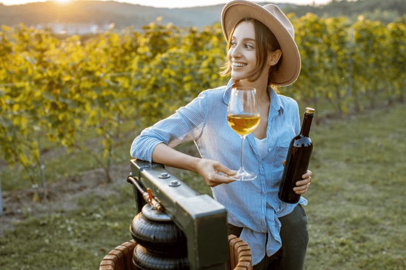 Billet Buenos Aires : Excursion d'une journée au paradis du vin de Mendoza avec billet d'avion