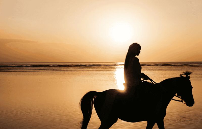 Billet Fuerteventura : thérapie avec les chevaux et coucher de soleil