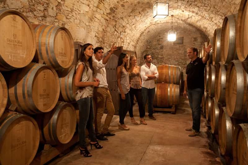 Billet Rías Baixas Albariño : visite du vignoble et fromage