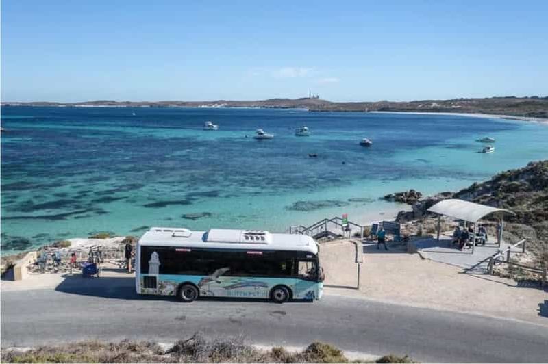 Billet Ferry pour l'île Rottnest et visite en bus d'une heure et demie