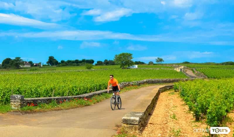 Billet Beaune : Visite des vignobles à vélo avec dégustation de vins