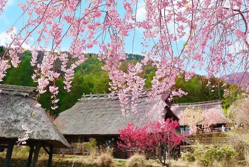Billet Tokyo : Mont Fuji, village de Saiko, lac Kawaguchi, Oshino Hakkai