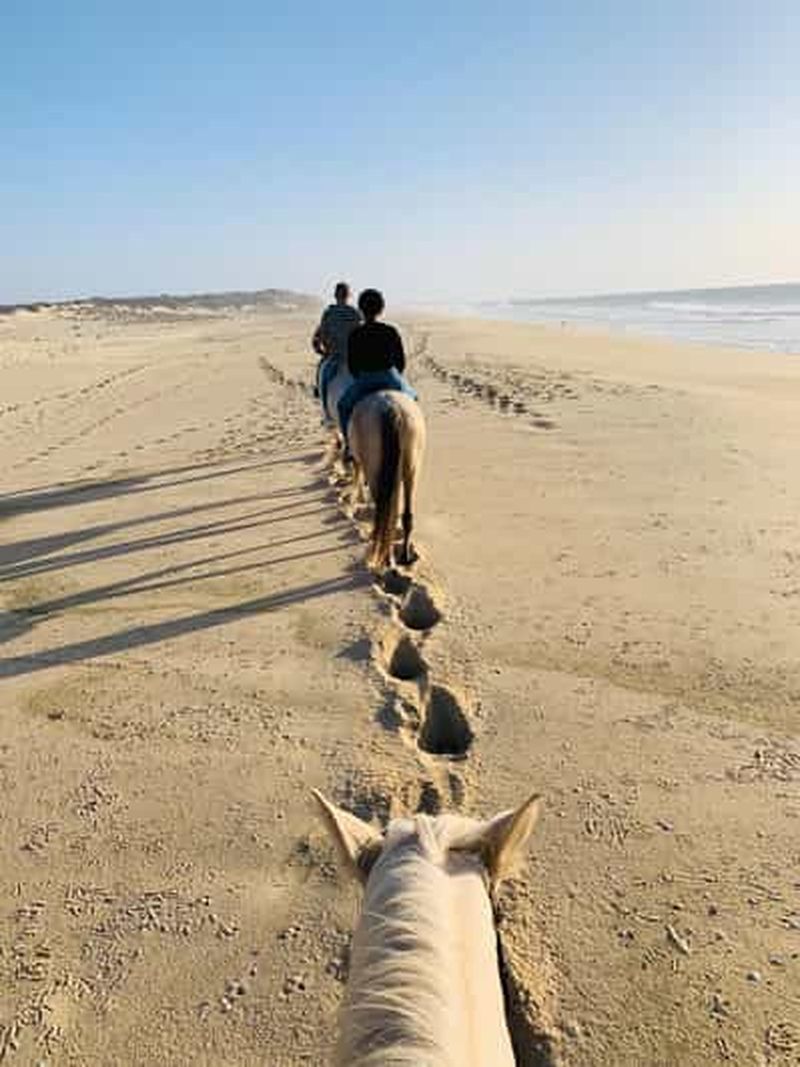 Billet Djerba – Balade à cheval vers l’Île aux Flamants Roses