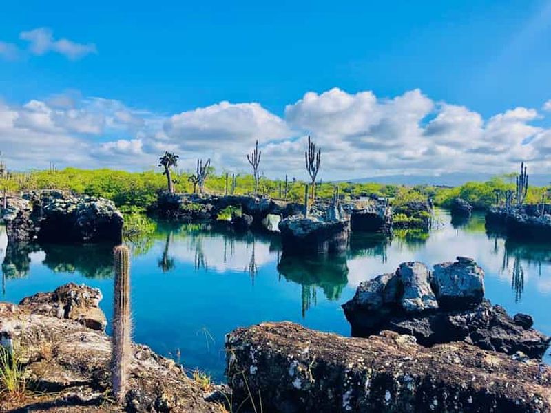 Billet Tunnels des Galápagos : plongée en apnée avec des requins, des hippocampes et des tortues de mer
