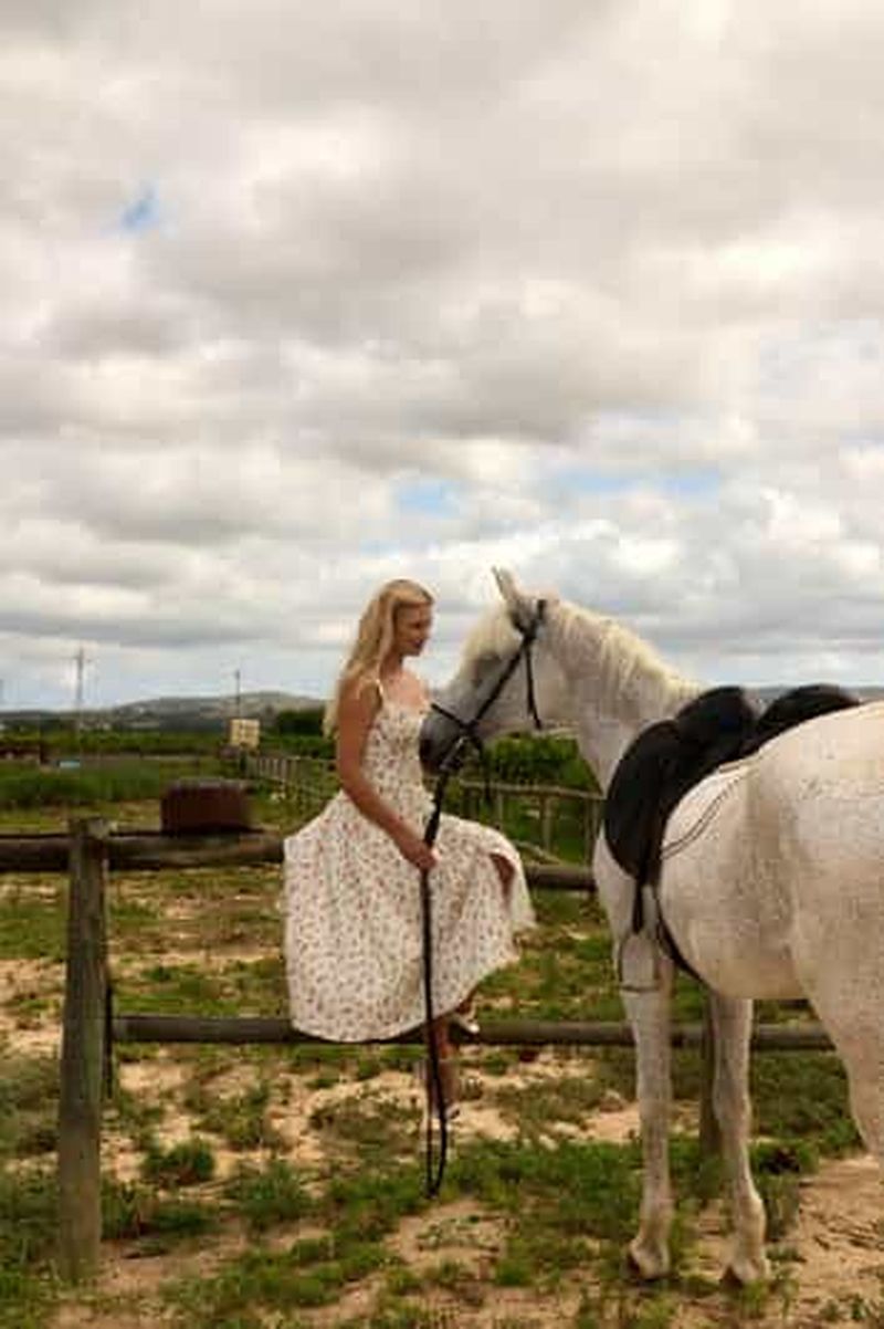 Billet Ibiza : séance photo avec de majestueux chevaux