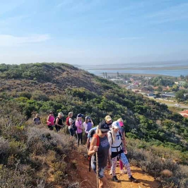 Billet Baie de Nelson Mandela : visite écoculturelle de Motherwell