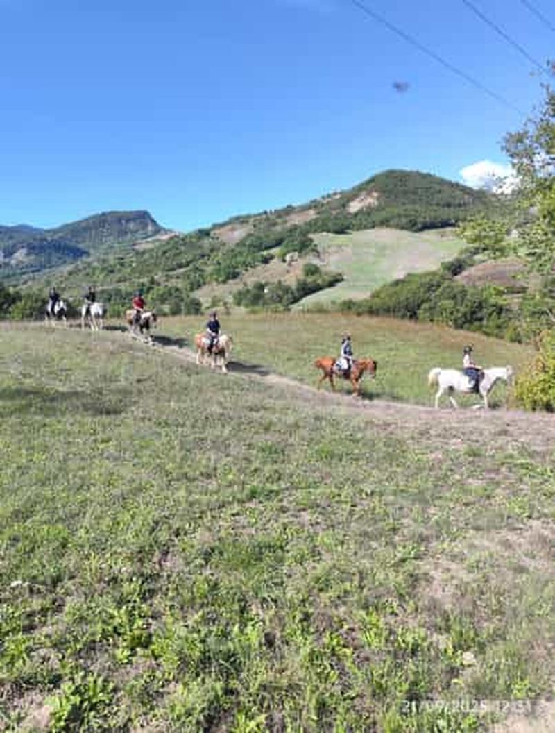 Billet Vergato : Promenade à cheval panoramique dans la vallée du Reno