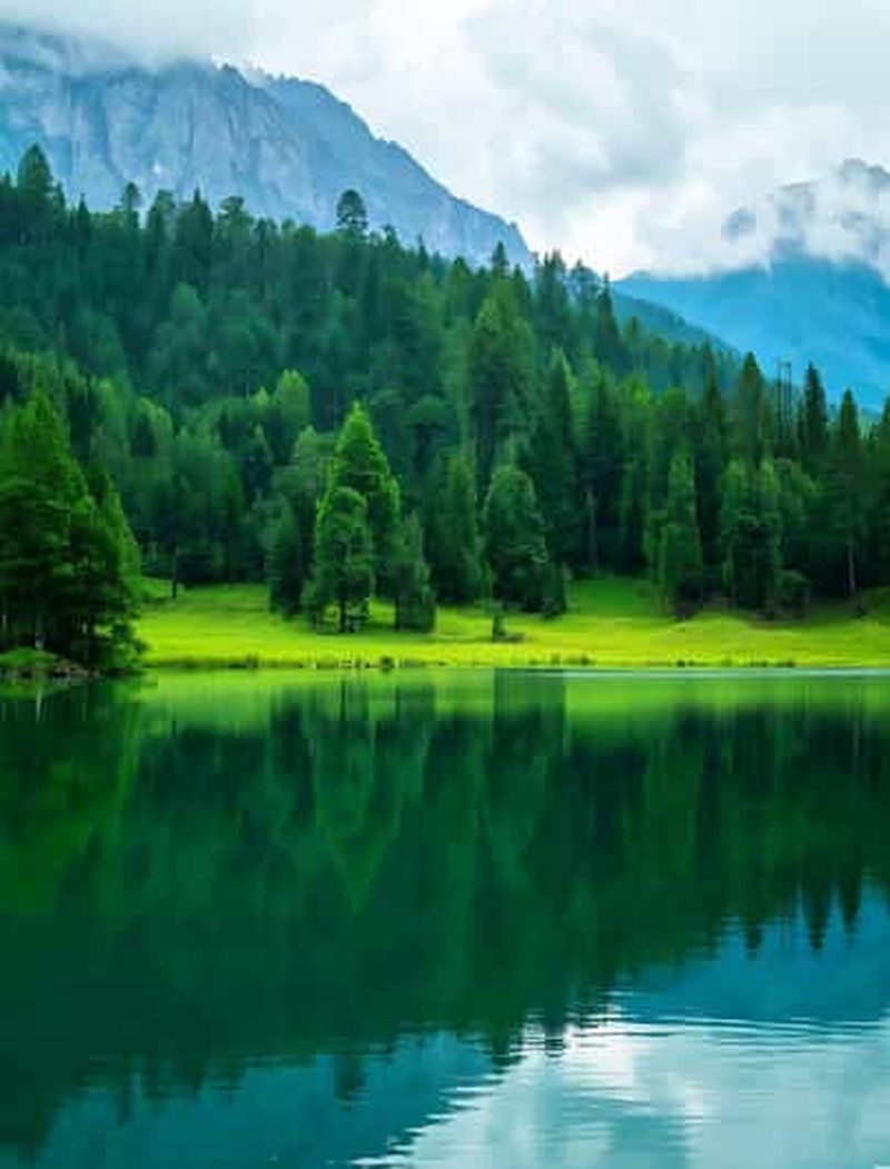 Billet Chengdu : billet d'entrée officiel pour le mont Qingcheng