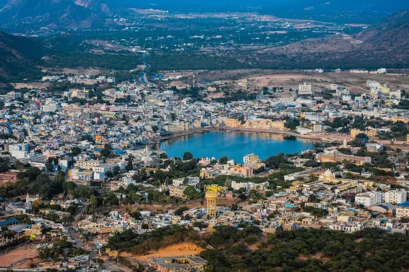 Billet Au départ de Jaipur : excursion d'une journée à Pushkar, la ville des temples, avec safari à dos de chameau
