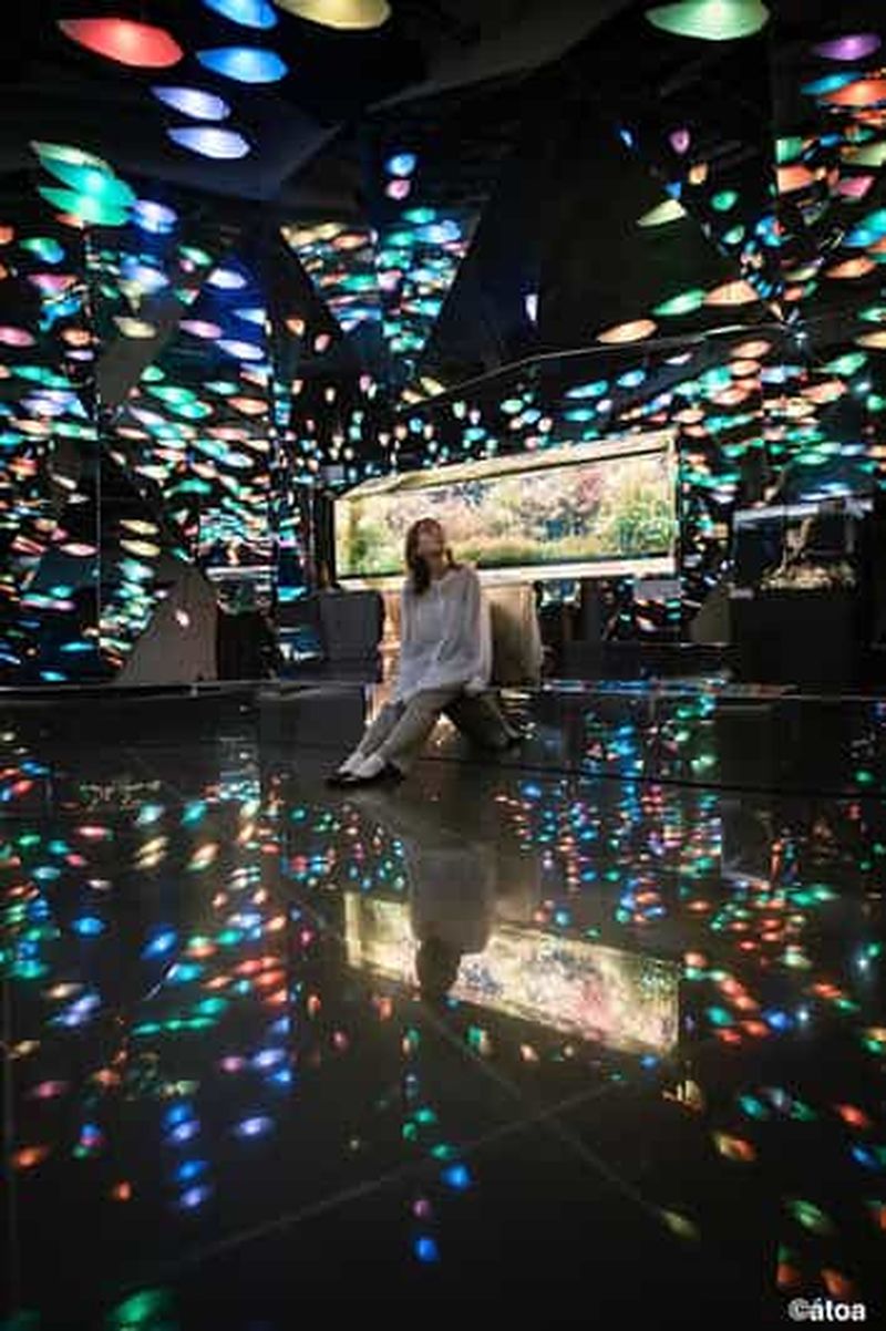 Billet Kobe : Aquarium urbain AQUARIUM×ART átoa billet d'entrée