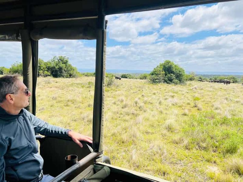 Billet Port Elizabeth : Safari de 3 jours dans le parc national des éléphants d'Addo