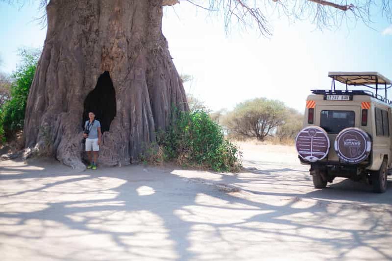 Billet Safari de 6 jours en Tanzanie en lodge de milieu de gamme avec repas