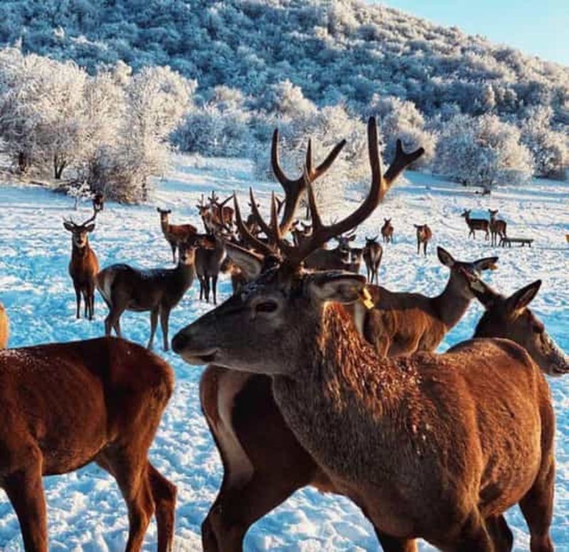 Billet Tachkent : station d'Amirsoy, montagne Chimgan et lac Charvak