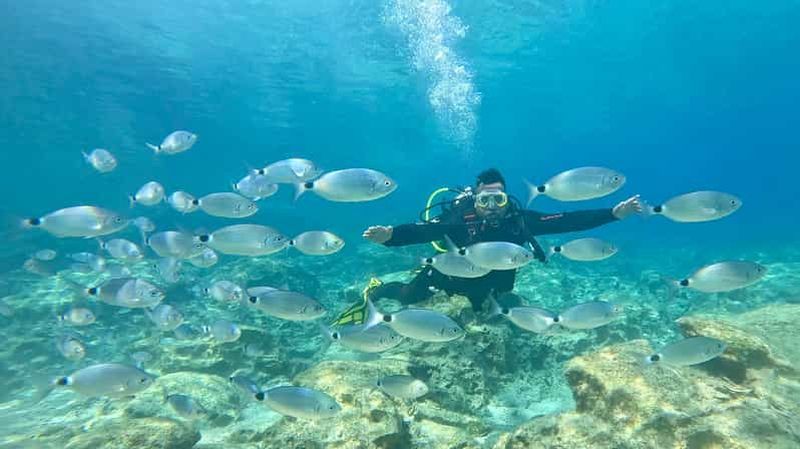 Billet Green Bay, Chypre : plongée sous-marine guidée ou découverte