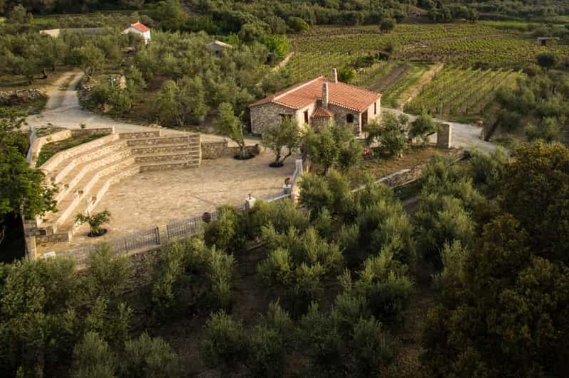 Billet Samos : visite d'un domaine viticole et dégustation de vin