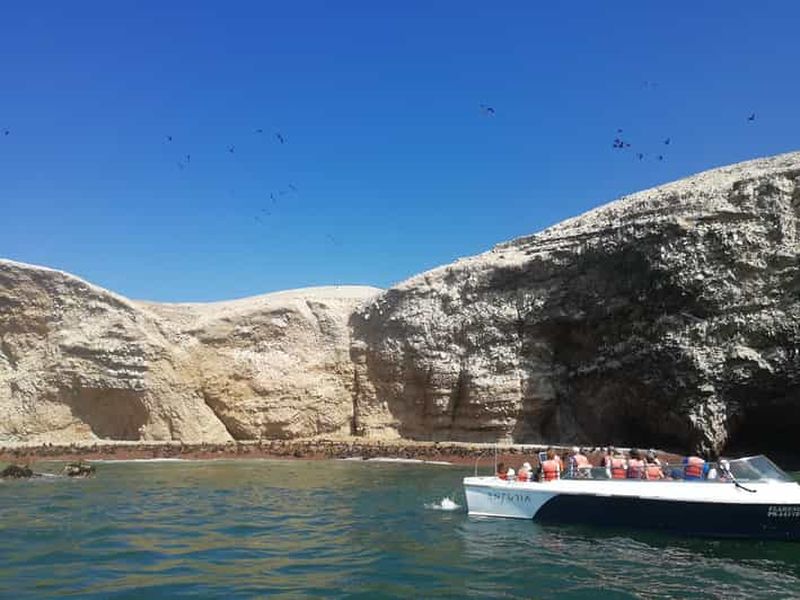 Billet Lima : visite privée des îles Ballestas, des vignobles et des lignes de Nazca
