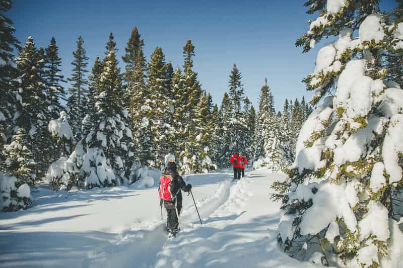 Billet Depuis Montréal : randonnée au parc régional de Sept-Chutes