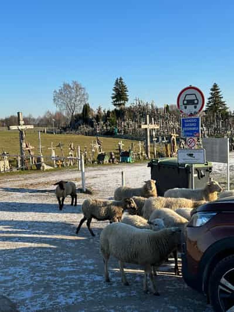 Billet Au départ de Riga : excursion à la colline des croix, au palais de Rundale et à Bauska