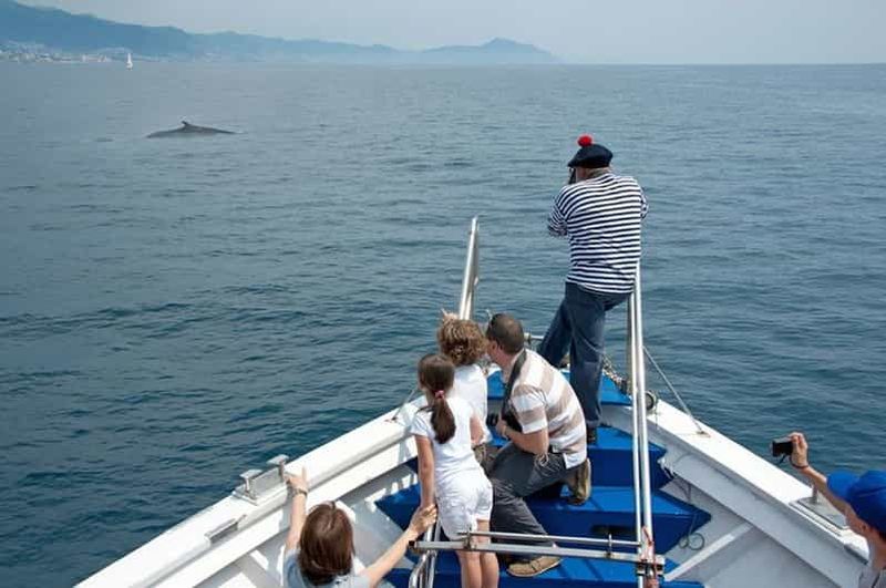 Billet Aquarium de Gênes : billet et croisière d'observation de baleines