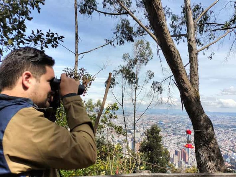 Billet Bogotá : visite guidée d'observation des oiseaux à Monserrate