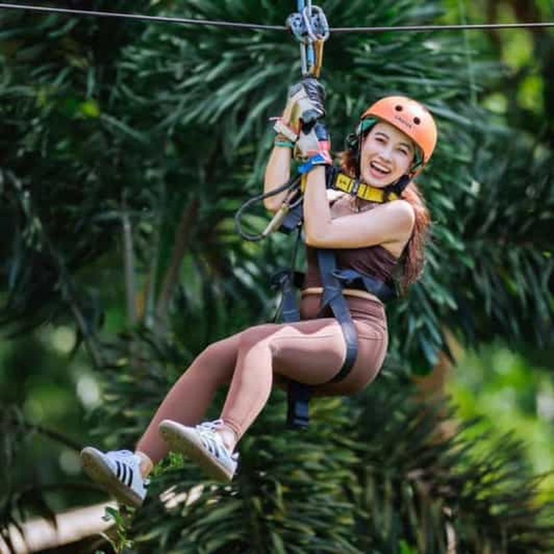 Billet Zanzibar : aventure en tyrolienne dans la forêt de Masingini