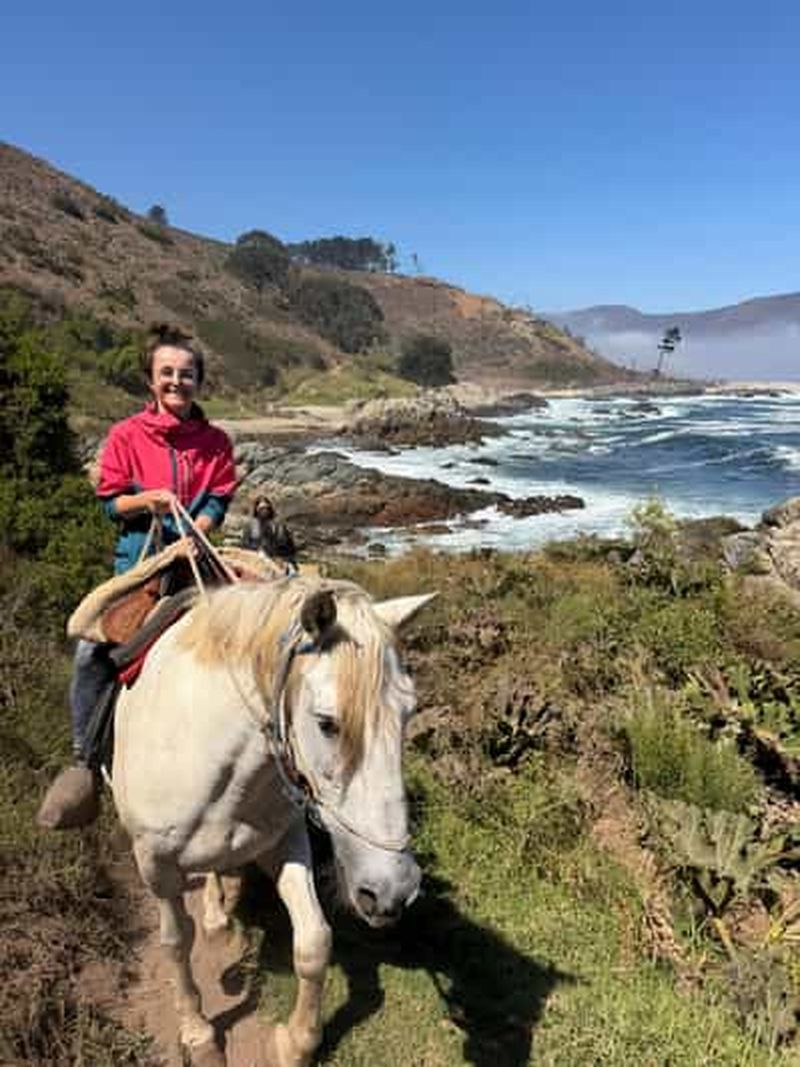 Billet Papudo : équitation, observation des pingouins et navigation