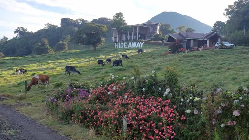 Billet San José : 2 jours d'aventure rurale, balade à cheval et dégustation de fromages artisanaux