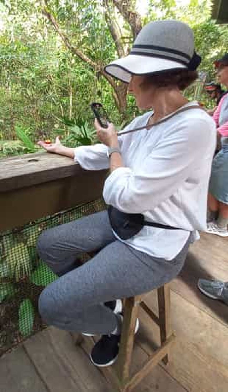 Billet Panama City : Randonnée dans le parc national de Soberania