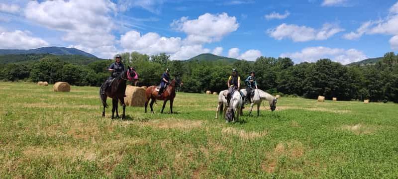 Billet Excursion à cheval d'une demi-journée en Toscane